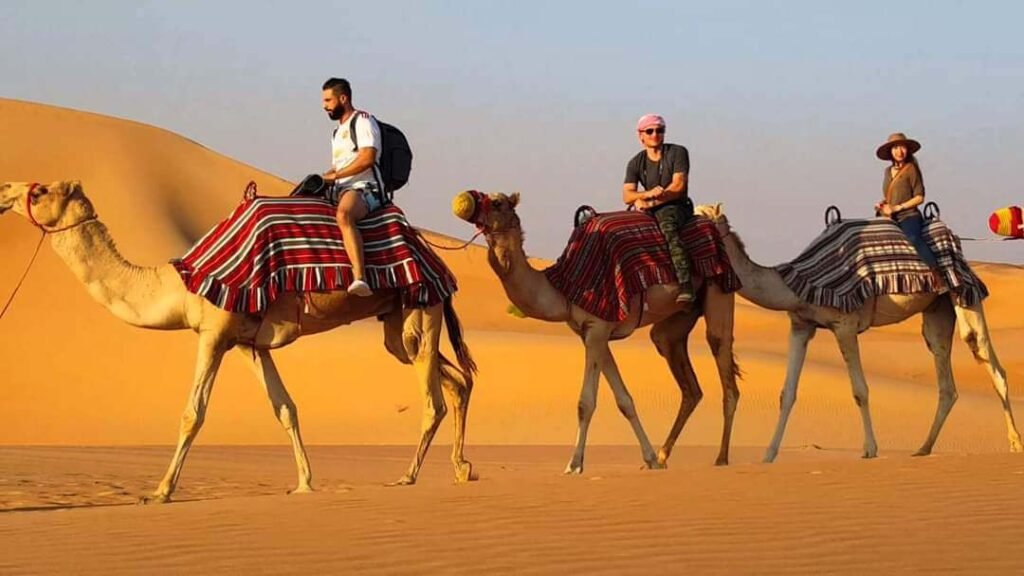 Camel Riding Safari