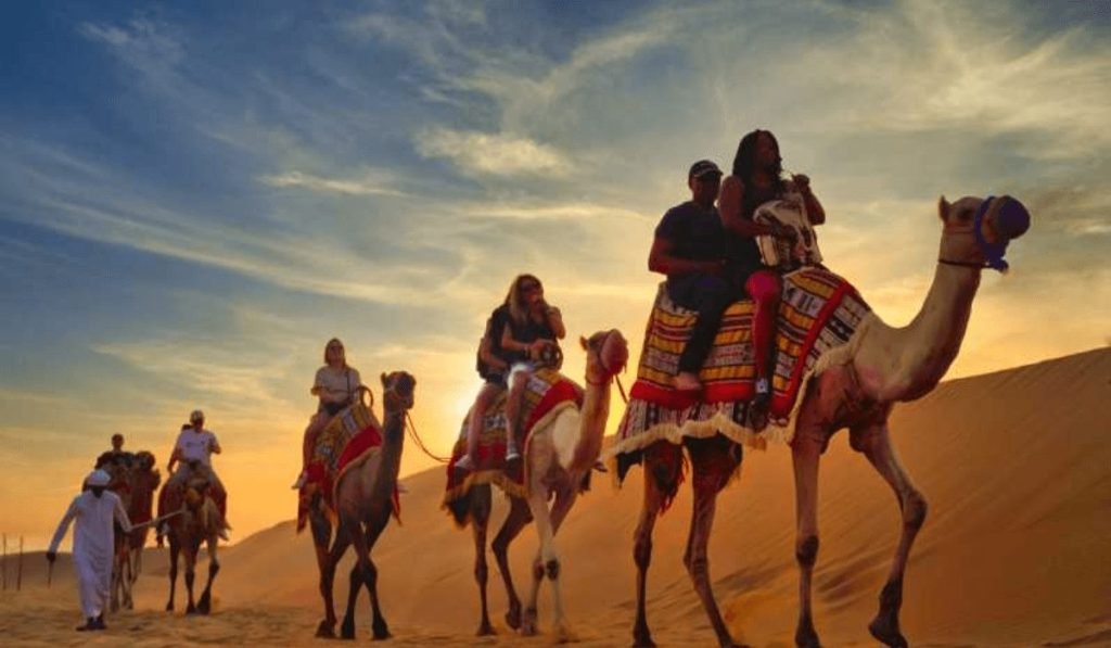 Camel Ride into the Horizon