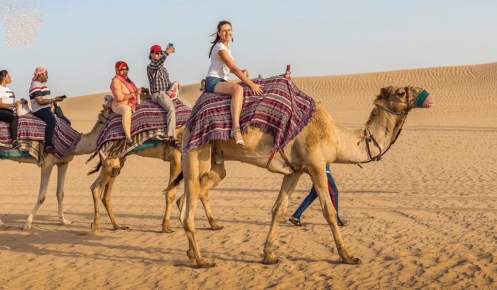 Camel Riding and Dune Bashing