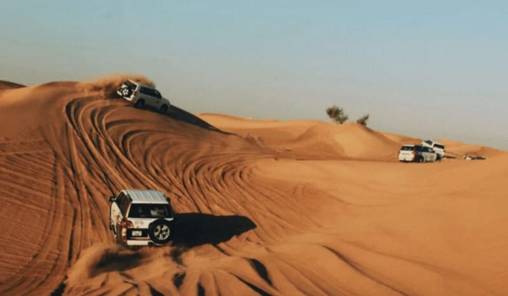 Optimal Time for a Desert Safari