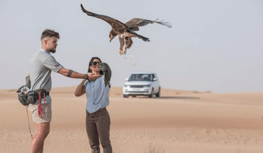 The Tradition of Falconry in Dubai