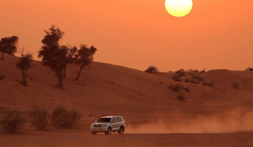 Evening Desert Safari