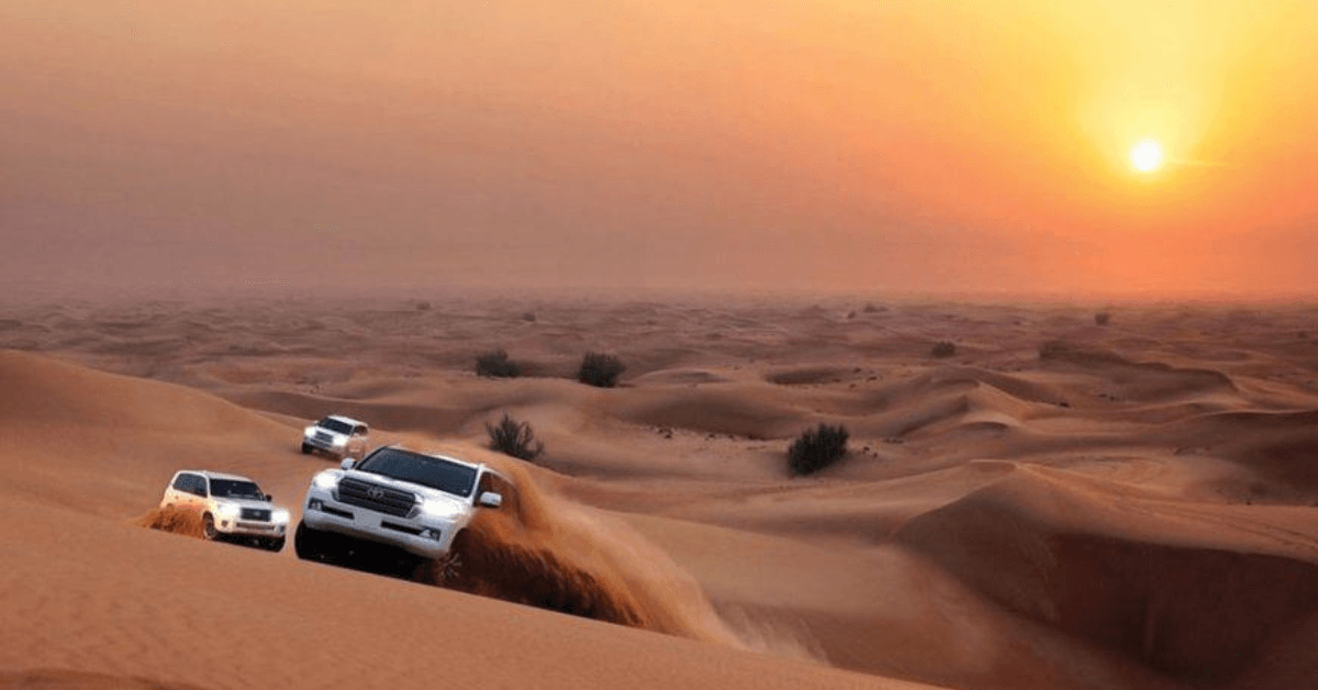 When Can You See the Most Wildlife During a Desert Safari in Dubai?