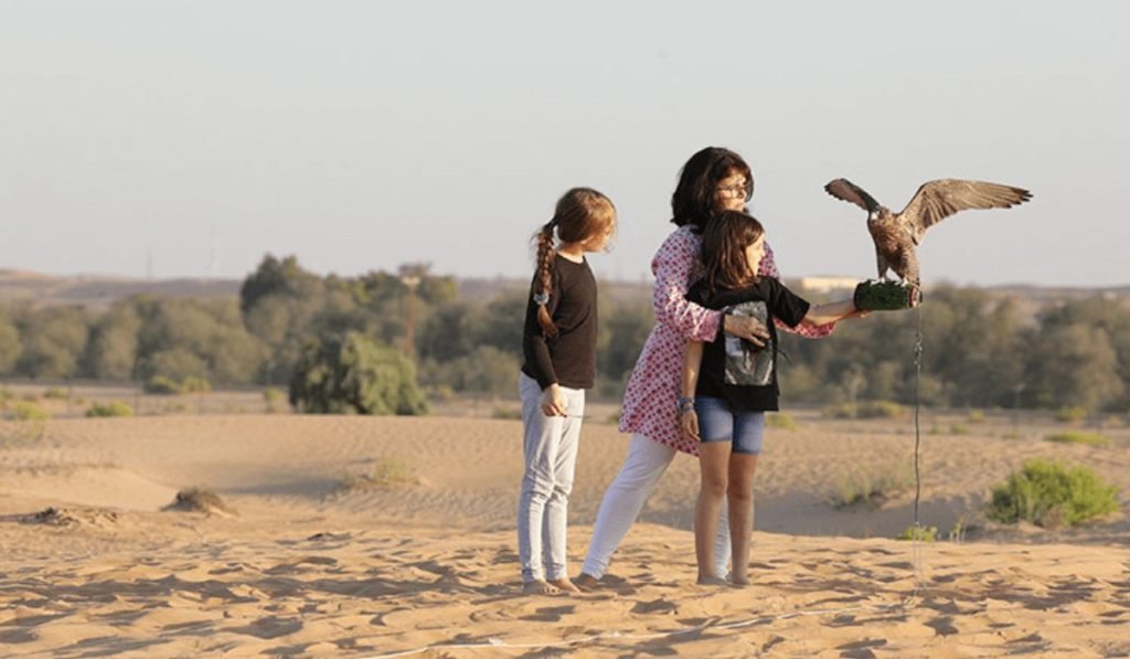 Falconry Tourism The Future of Desert Safari Dubai