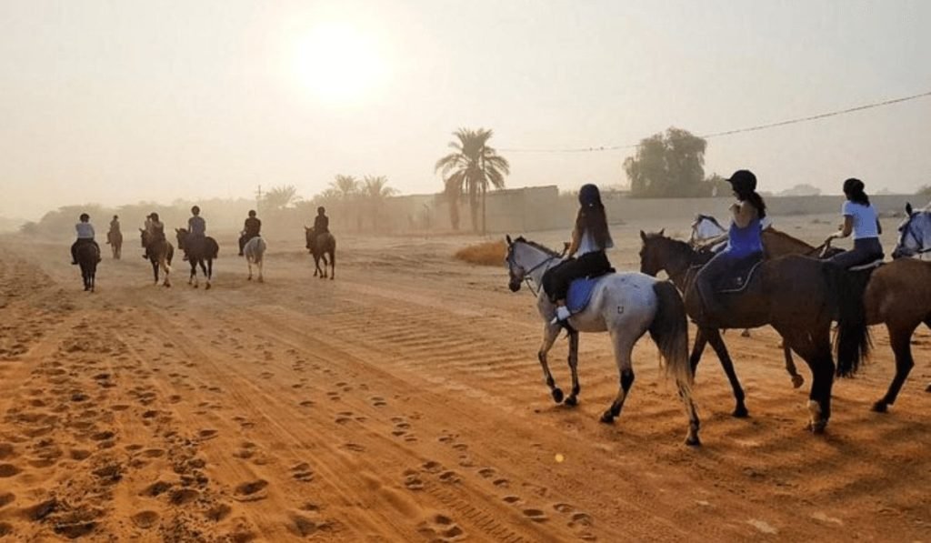 Desert Horse Riding and Sand Skiing