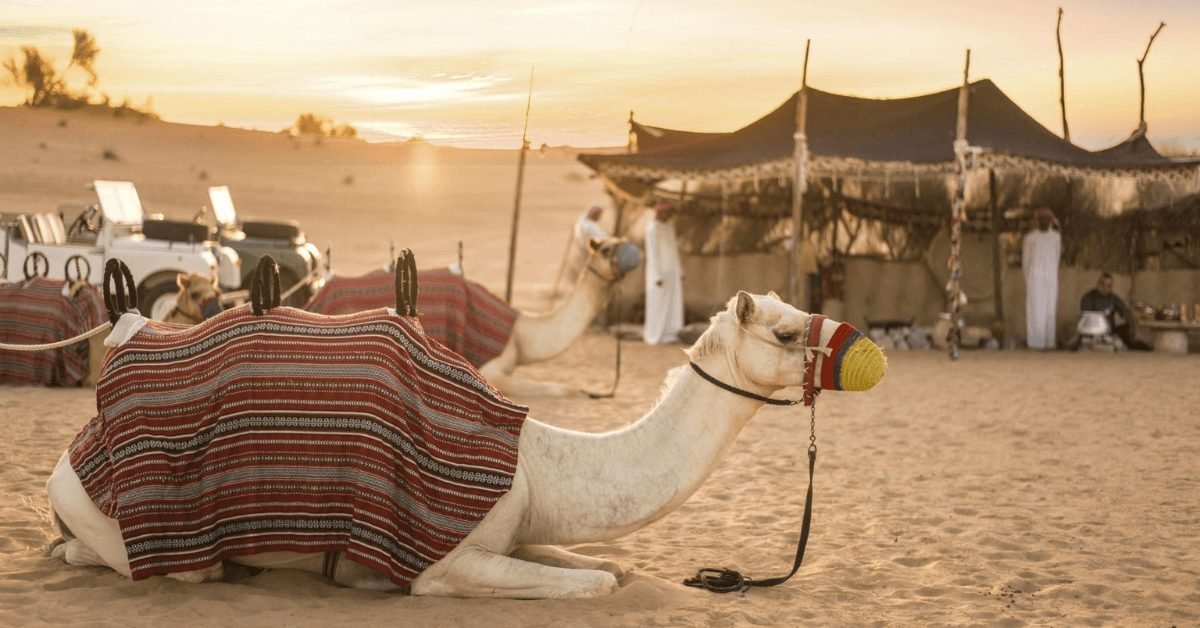 How to Understand and Respect the Bedouin Lifestyle During Your Dubai Safari?