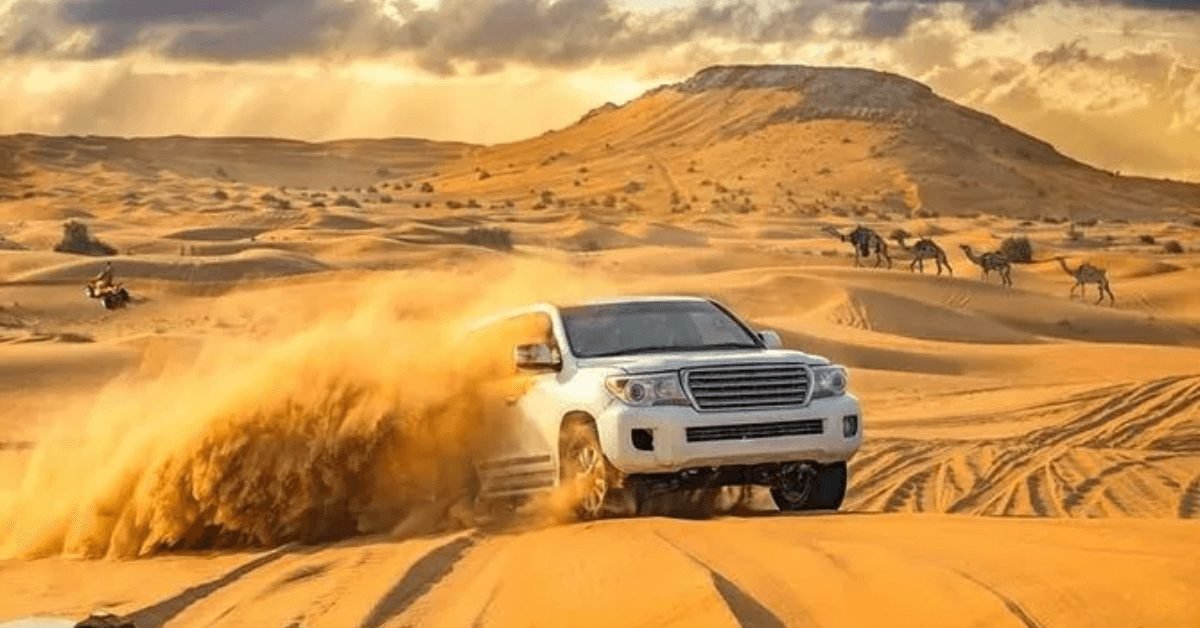 How Has Dubai Desert Safari Evolved Over the Years