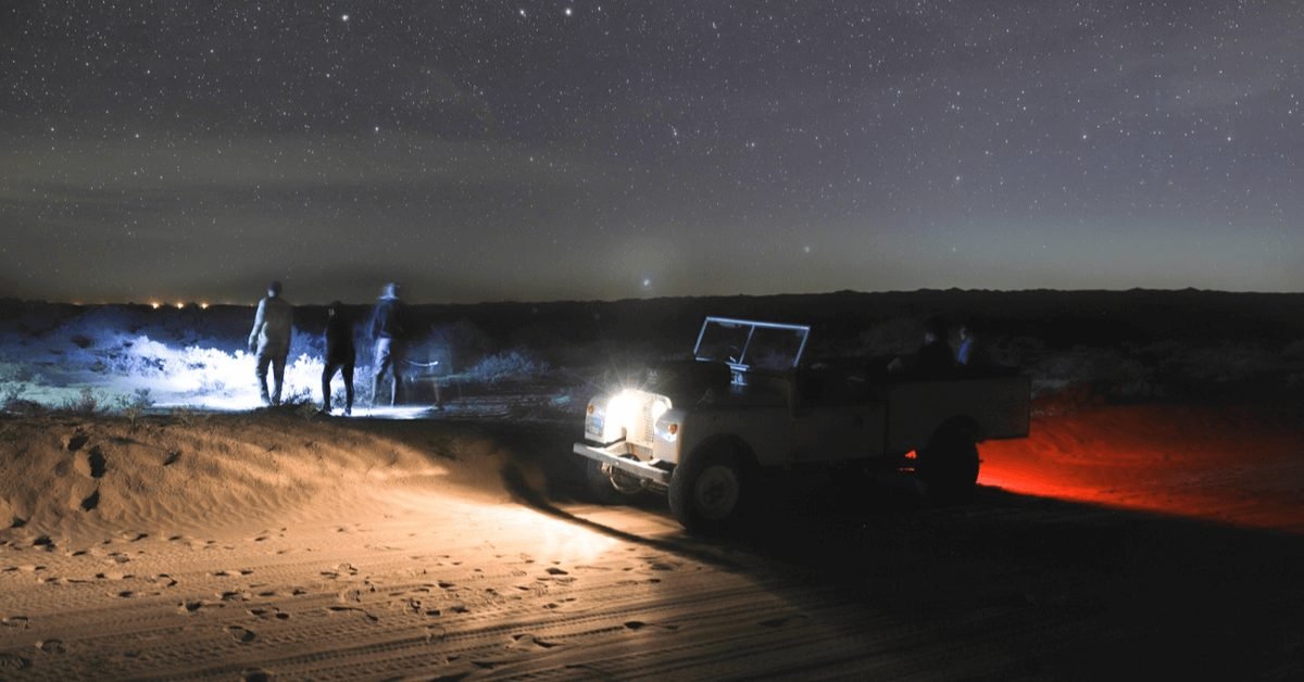 How to Appreciate the Stars During Night Safari in Dubai