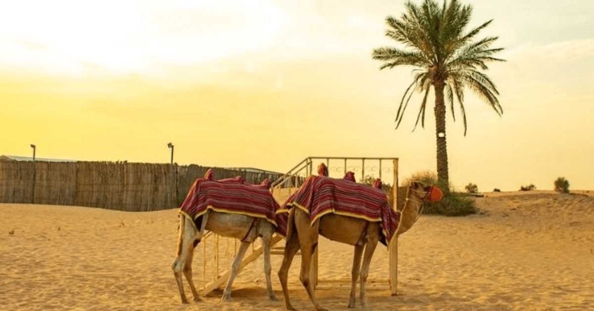 Fauna of the Dubai Desert