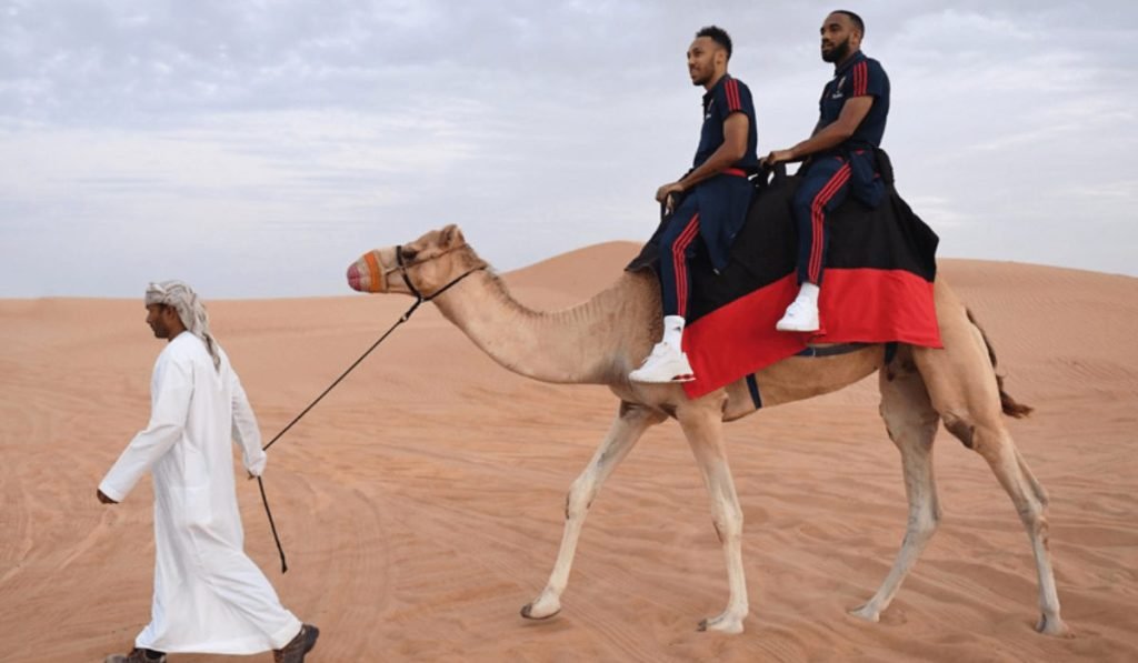 Preparing for a Camel Ride