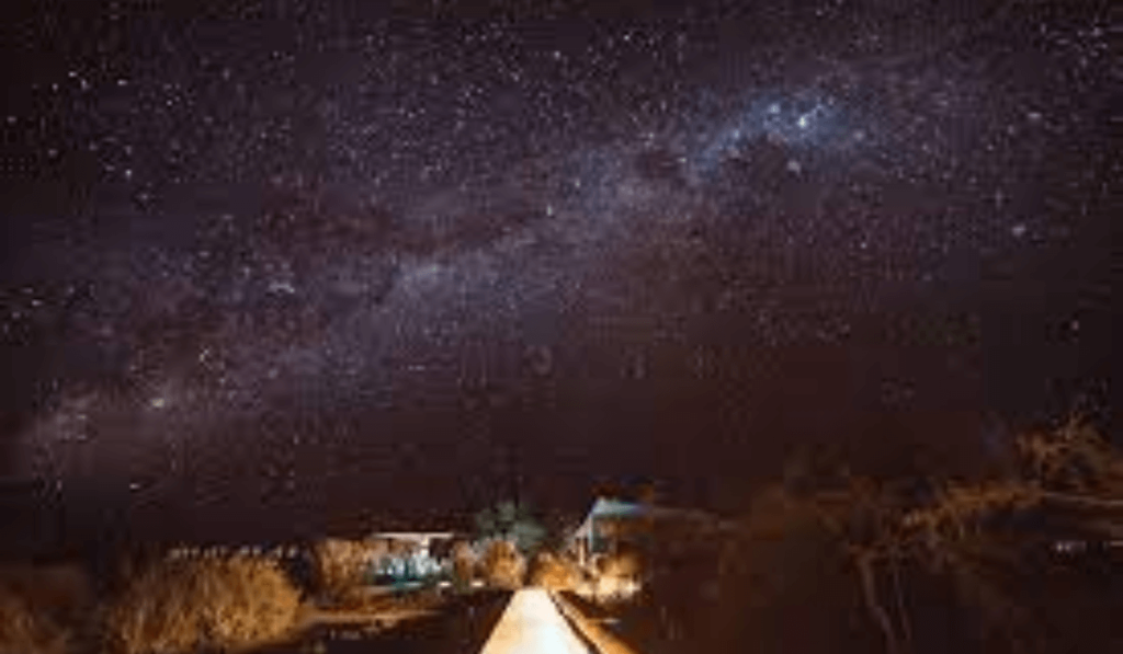 Stargazing in the Desert Sky