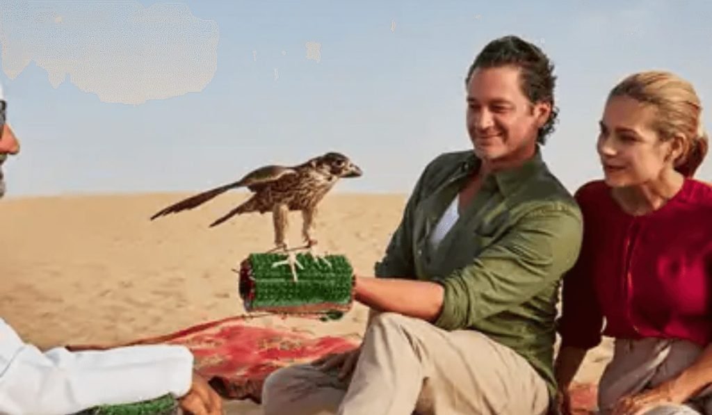 The Falconry Experience in Dubai Desert Safari