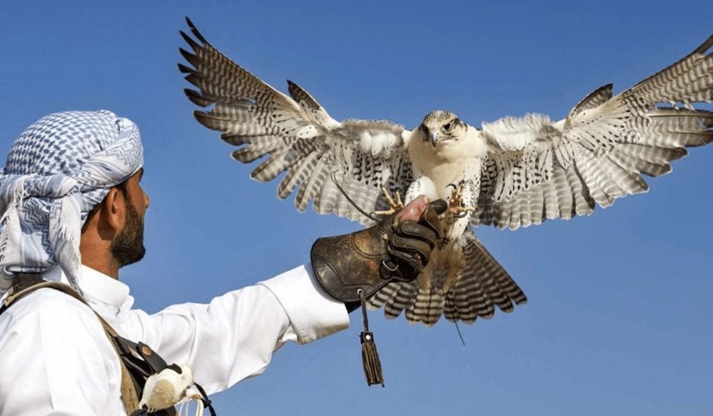 The Cultural Significance of Falconry in Dubai