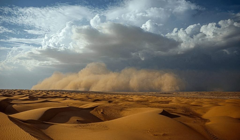 The Magic of Desert Skies