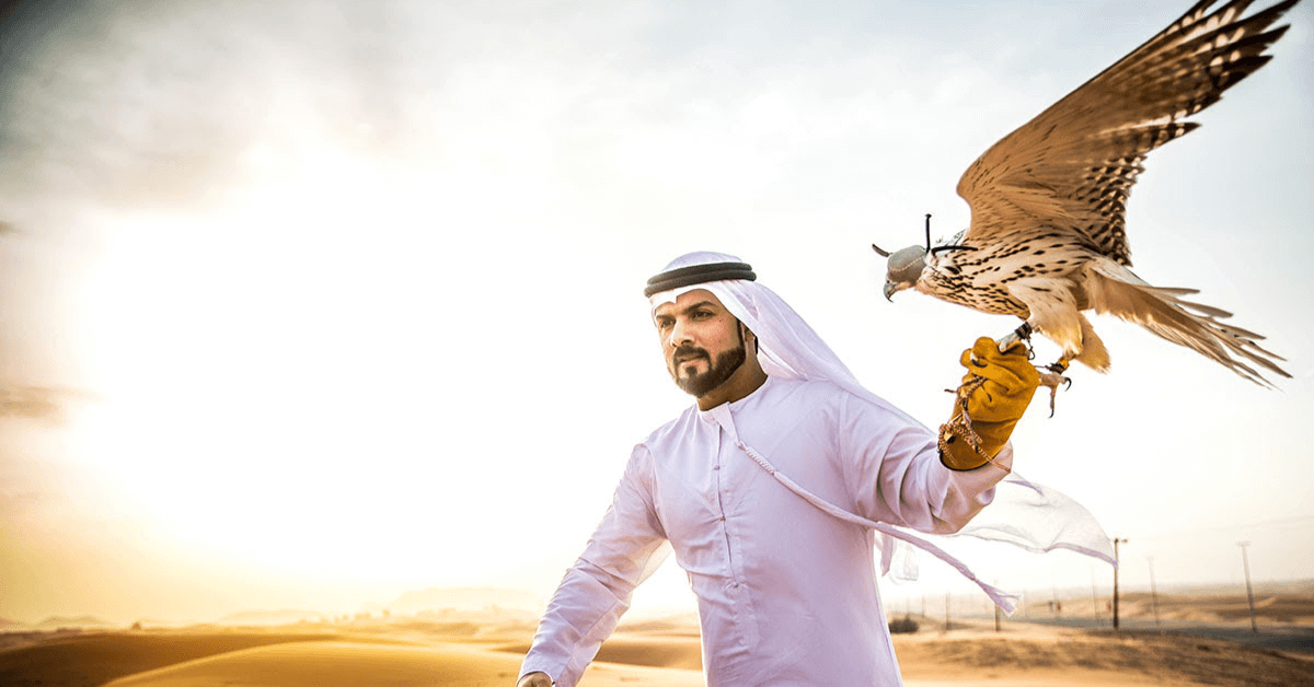 The Thrill of Falconry in Desert Safari Dubai