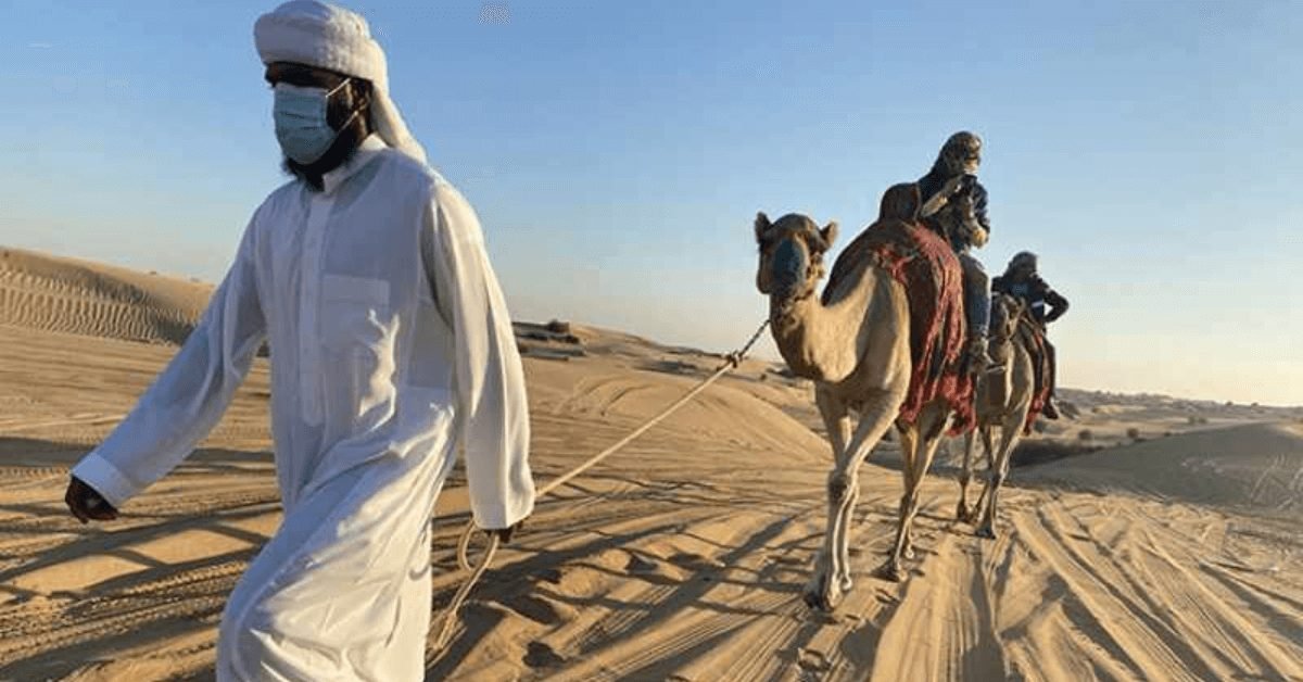 Why are Camels Integral to the Desert Safari Experience in Dubai