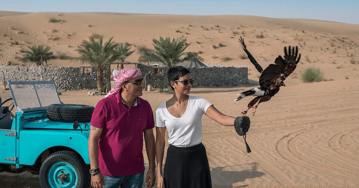 Why is the Falcon Show a Must-Watch During Desert Safari in Dubai