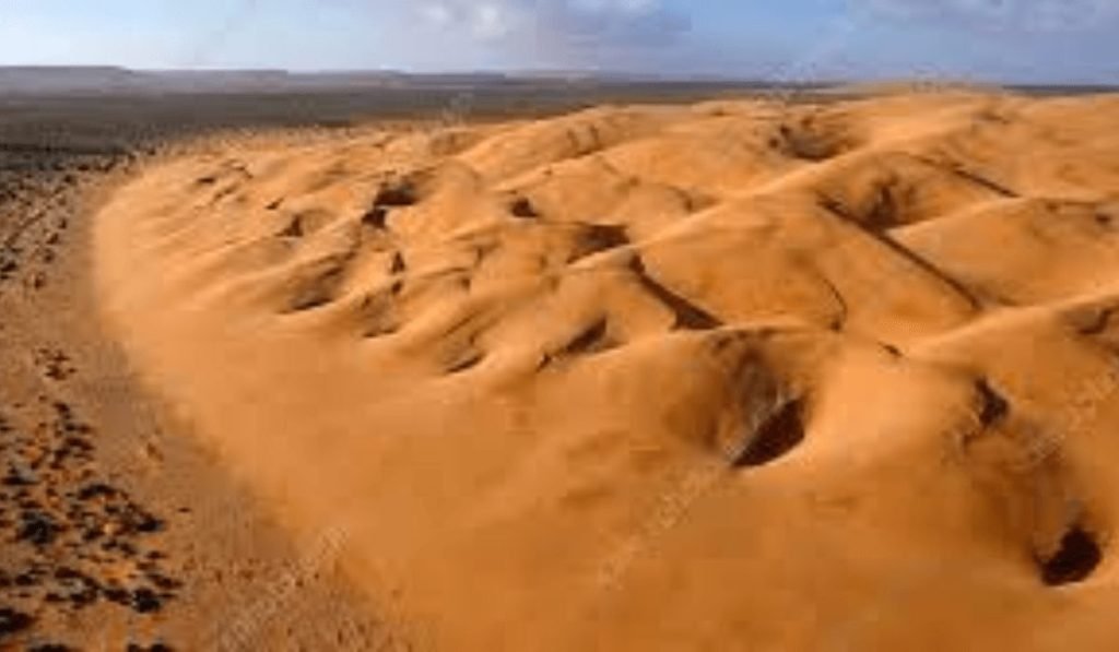 Barchan Dunes