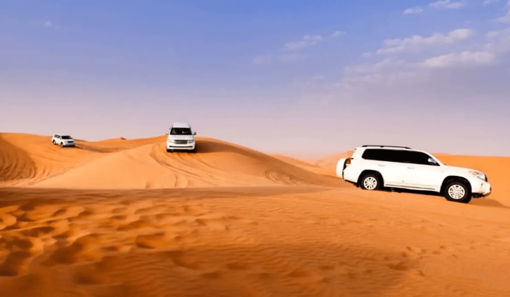 Dubai's Desert Safari Experience