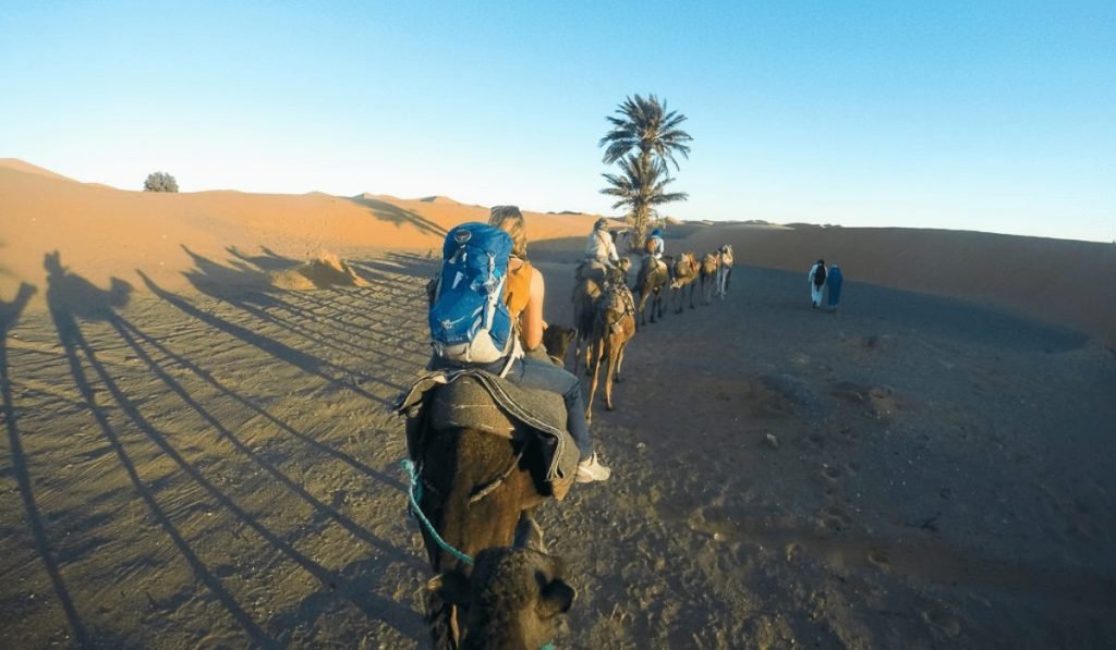 Recommended GoPro Models for Desert Safaris