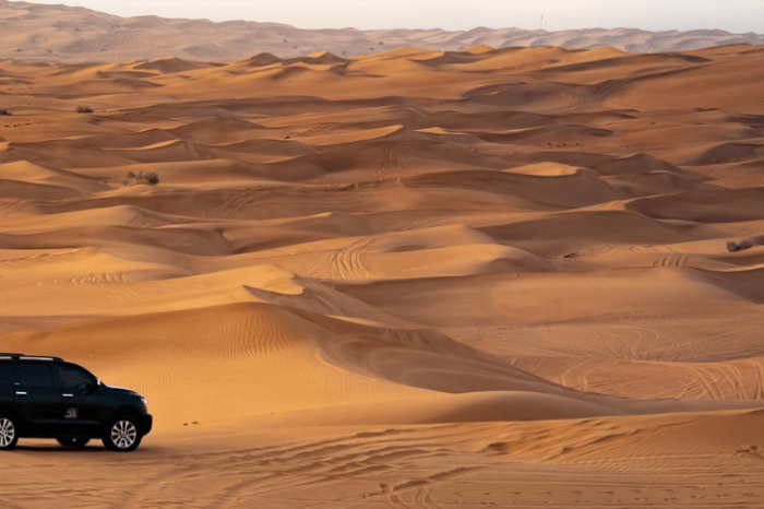 Dune Bashing Adventure
