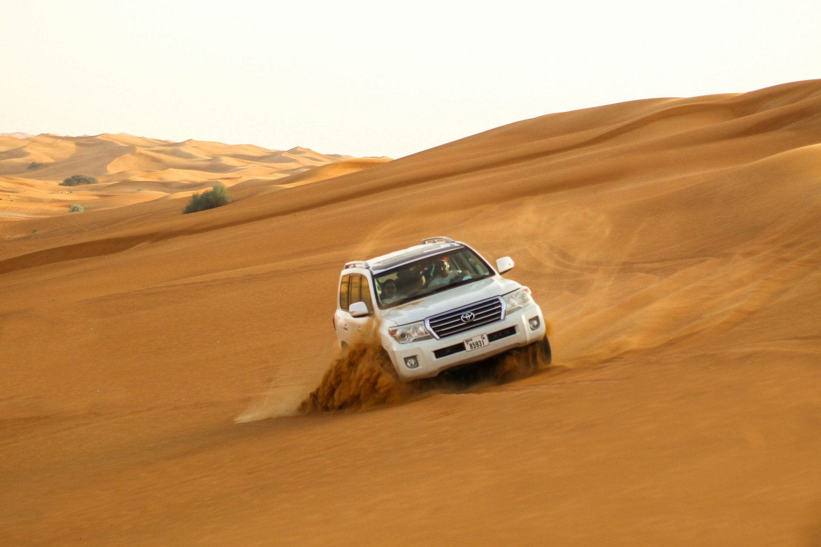 Experience the Thrill of a Desert Safari Dubai with Quad Biking Tour